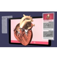 Бібліотека 3D-моделей Corinth