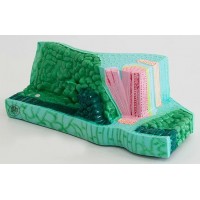 Модель "Будова листка"