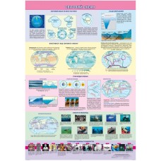 Навчальний плакат. Світовий океан